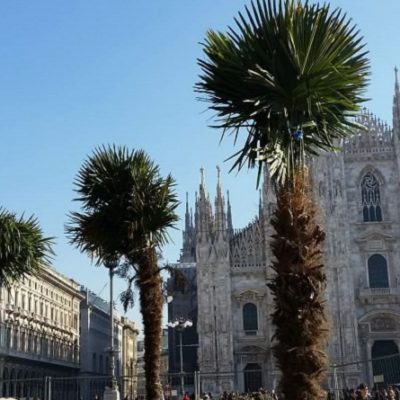 L’allegro Boschetto della Memoria in piazza Duomo